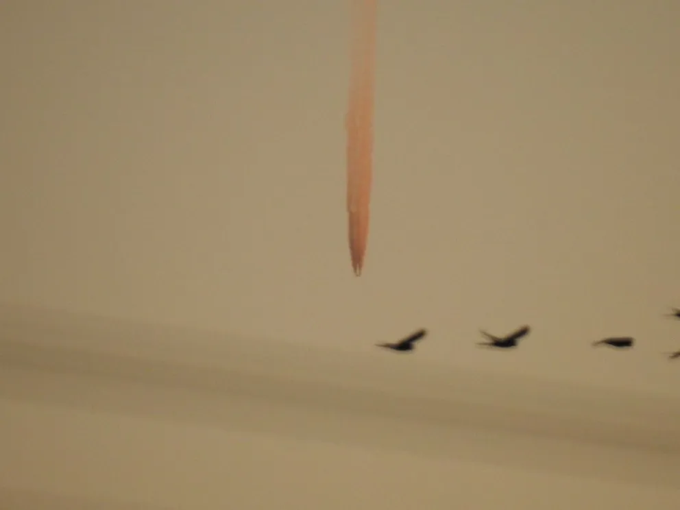 Rarezas en el cielo: una fotógrafa aficionada ganó todas las miradas