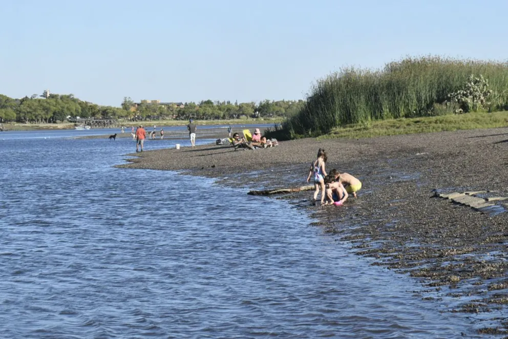 Según los pronósticos oficiales.