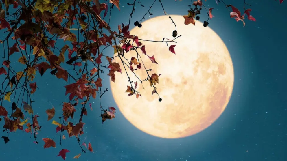 La energía de la Luna Llena en Géminis: cómo impactará nuestras vidas