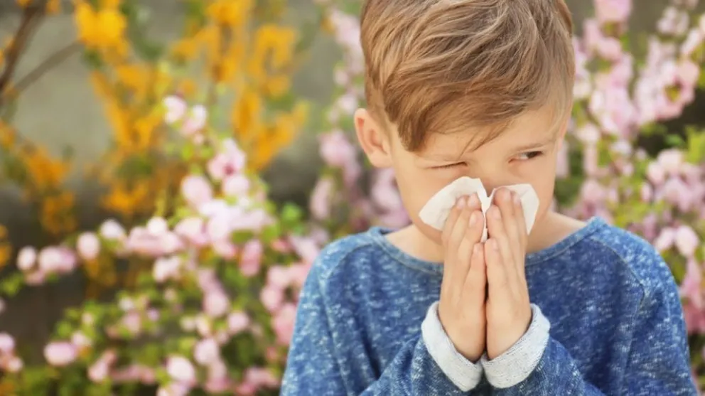 Mandíbulas deficientes y rinitis, un combo que dio lugar a una tesis doctoral