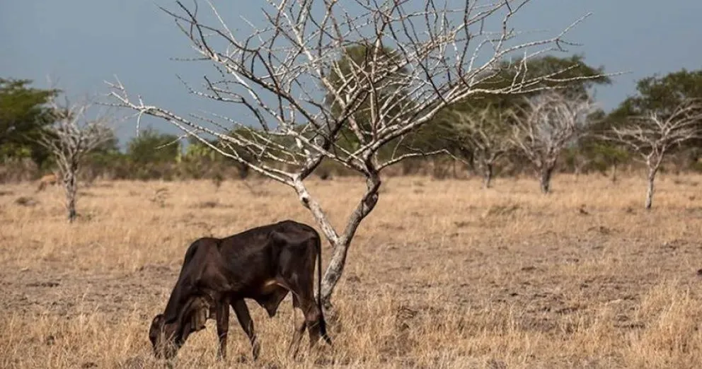 Está cerca de La Cuchilla. Foto archivo.