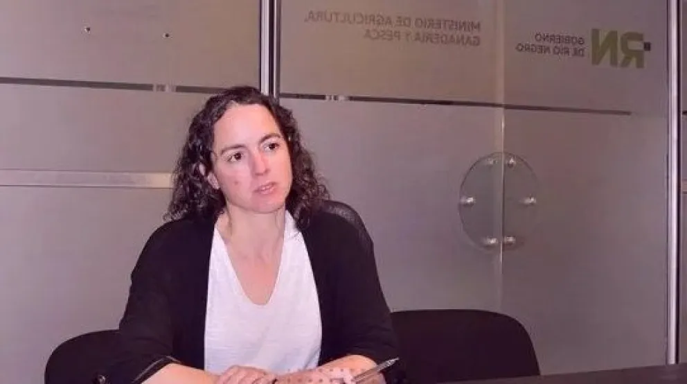 "Estamos al día": a pesar de la crisis, la Municipalidad de Viedma tiene buenos números