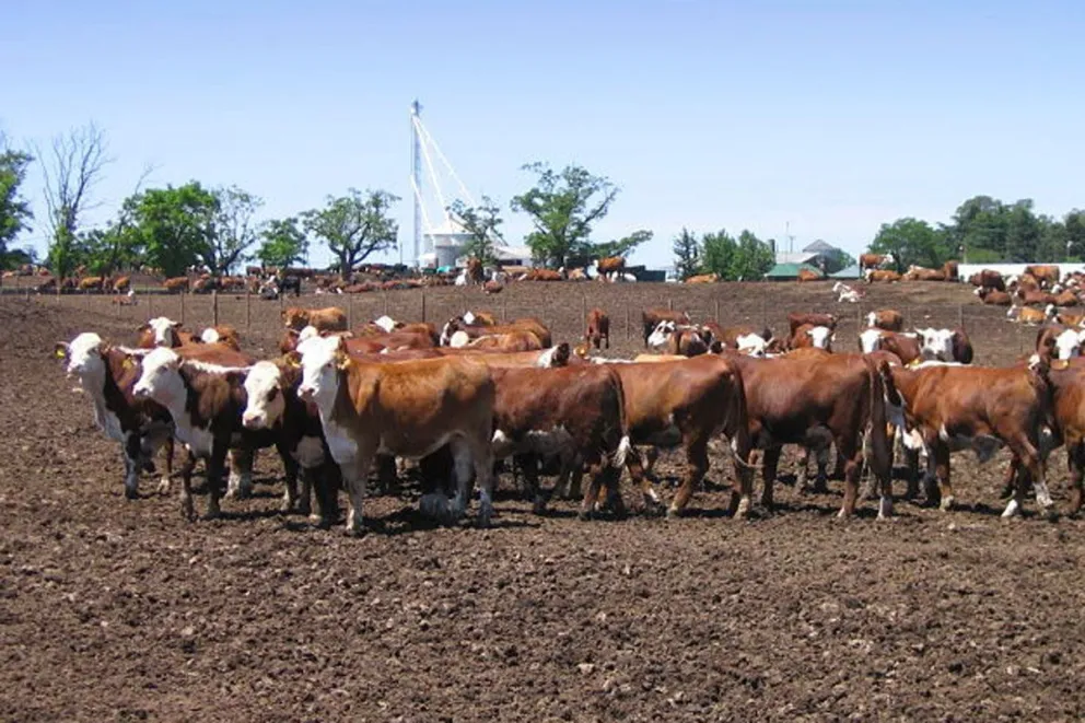 Polución ambiental: el fuerte impacto que generan la agricultura y la ganadería