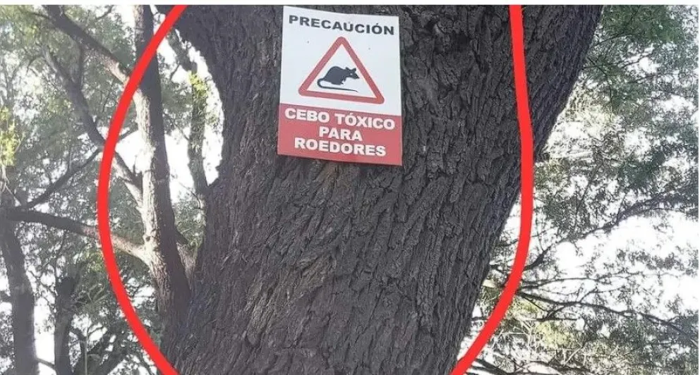 El Colegio de Veterinarios denunció ante la Justicia los casos de perros envenenados