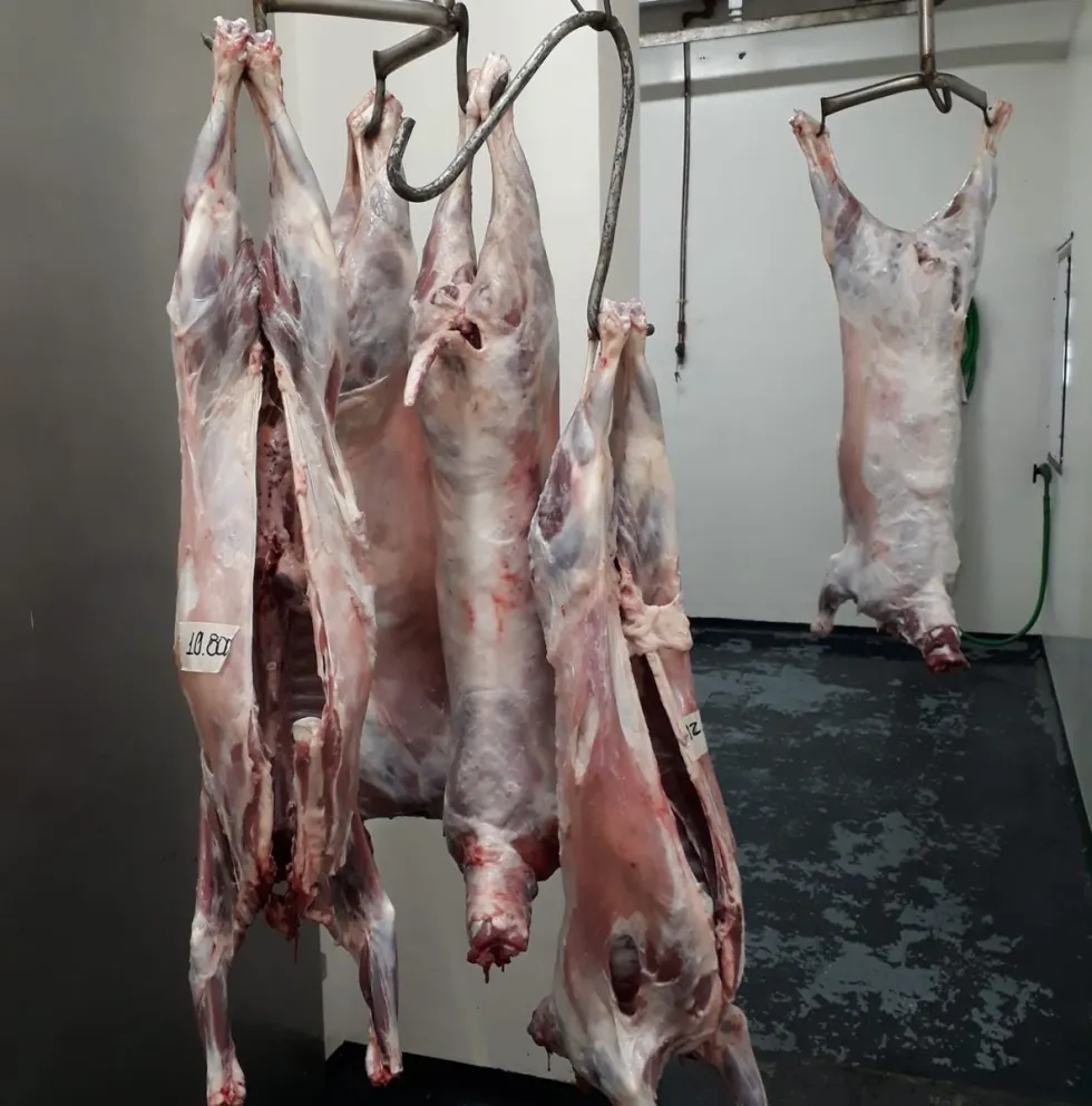 Los corderos en algunas carnicerías de Viedma ya están cerca de los 50 mil pesos