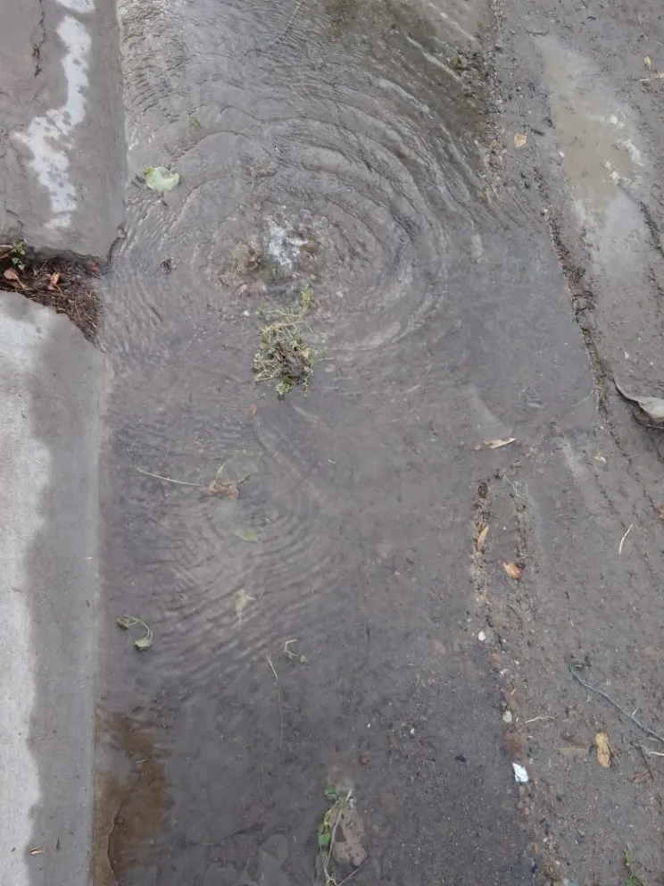 Un desperdicio: vecinos del Amel denuncian pérdida de agua potable