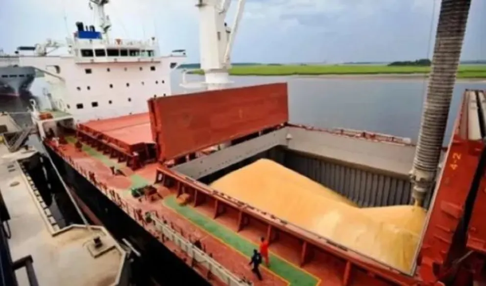 Milei cerró los registros para exportaciones de granos y subproductos agrícolas