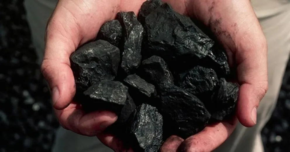 Revolución en la heladera: el poderoso beneficio del carbón