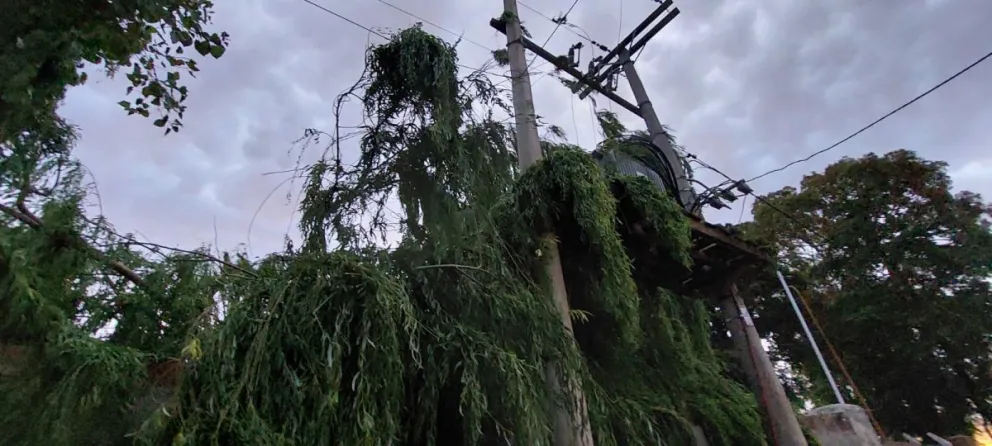 Personal de EdeRSA trabajó 18 horas para sostener el servicio eléctrico