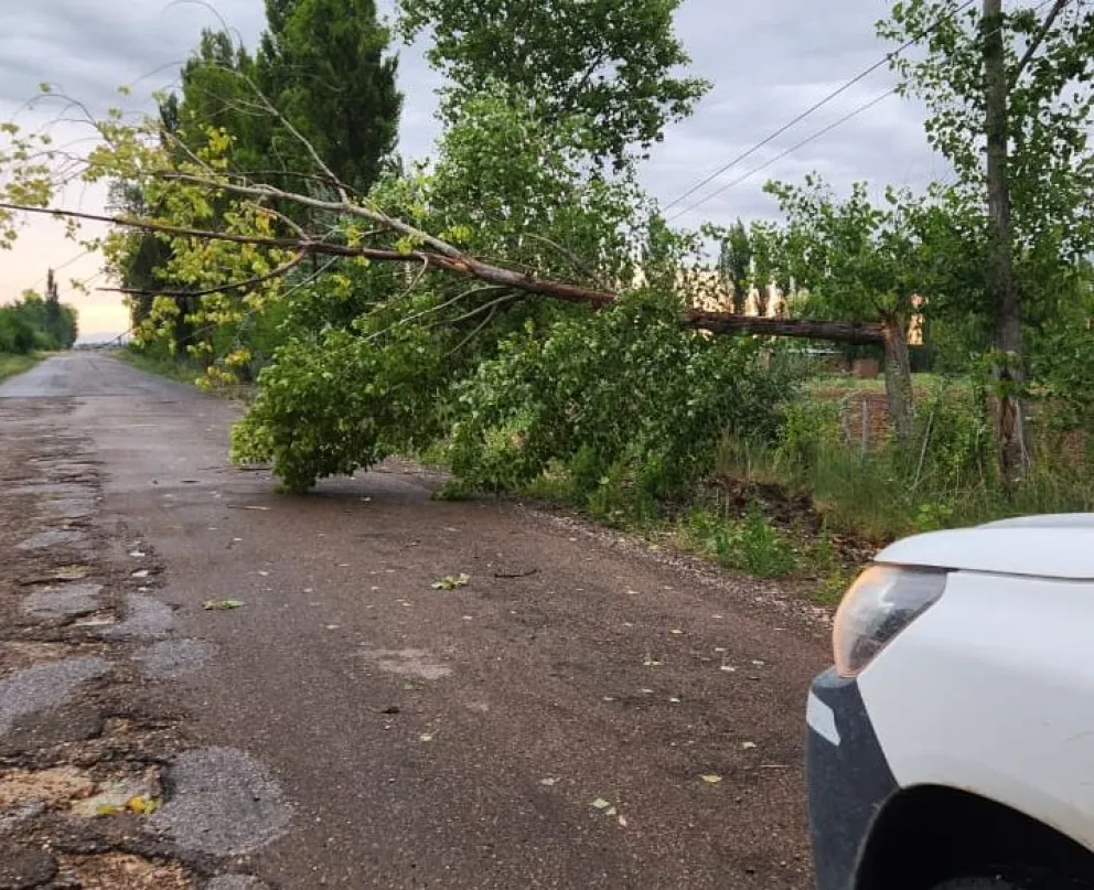 Acciones preventivas y respuestas ante condiciones climáticas extremas