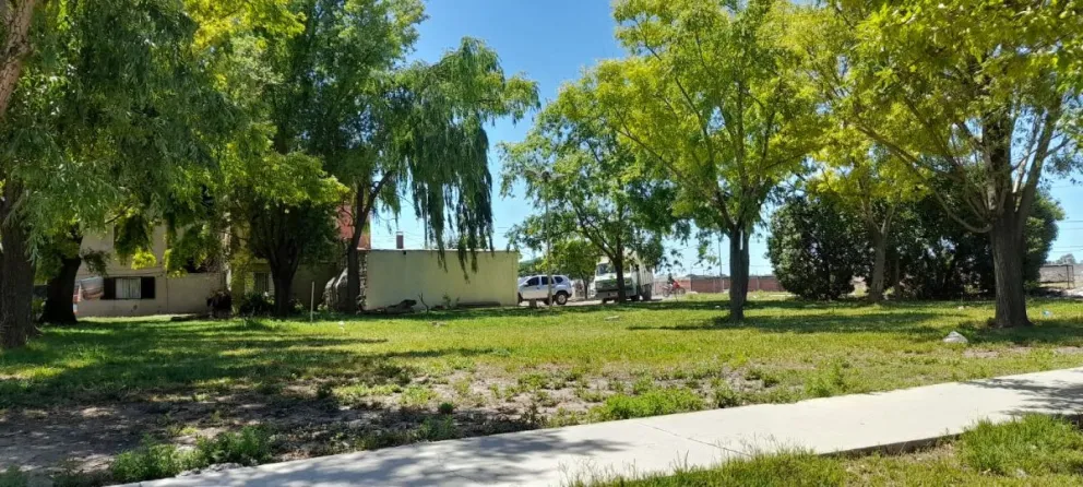 Lunes de sol en Viedma y los alrededores.