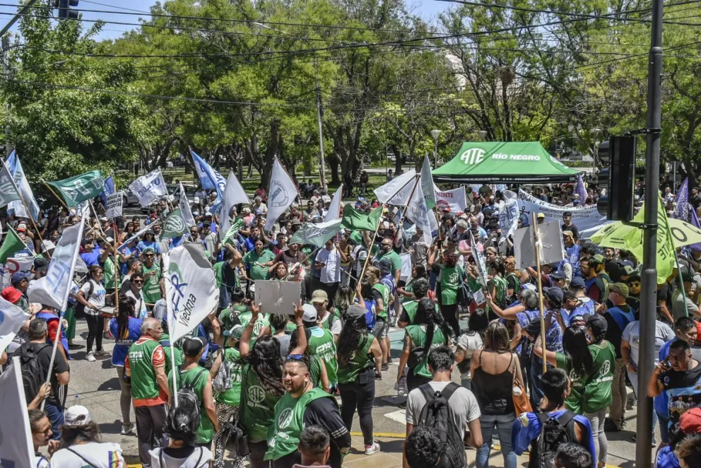 Paro general en Viedma: Impacto y sectores afectados