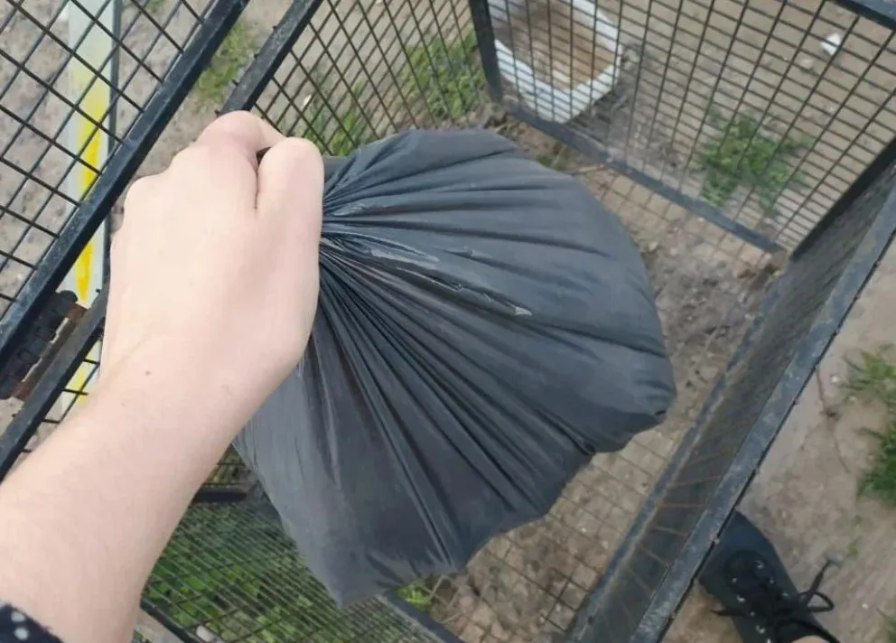 No habrá recolección durante la noche del 24.