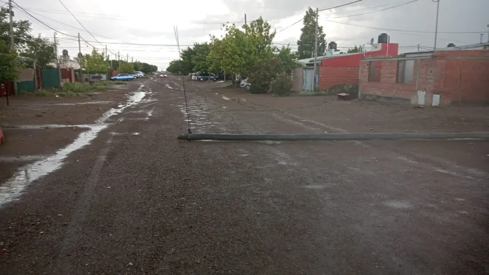 El temporal de lluvia y viento volteó un poste en el barrio Villa Lynch