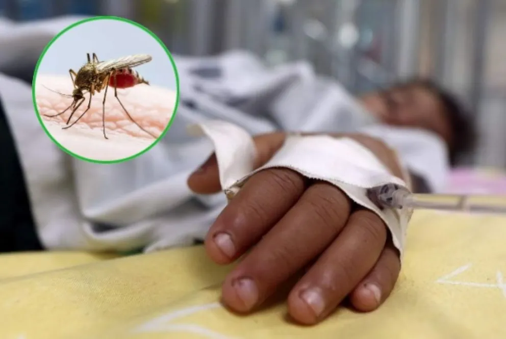 Alerta en Brasil por el aumento de muertes a causa del dengue: tres cada 24 horas