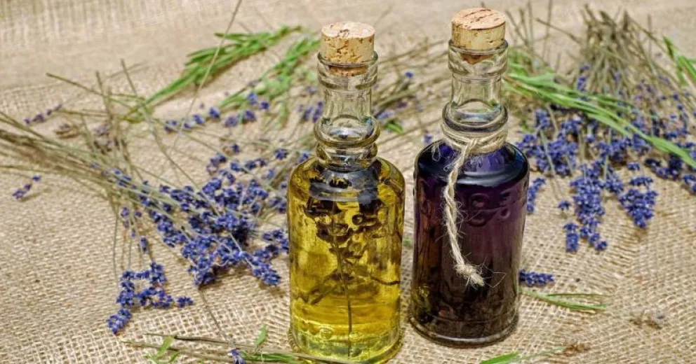 Repelentes caseros para disfrutar del verano sin mosquitos