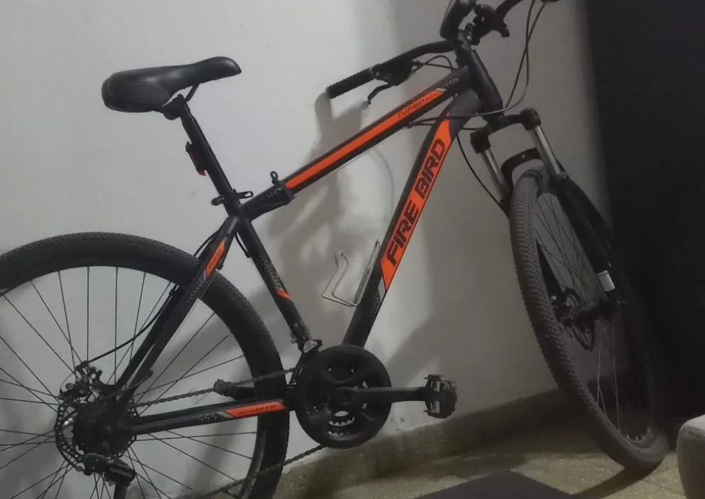 Insoportable inseguridad: le robaron la bici desde el patio de su casa