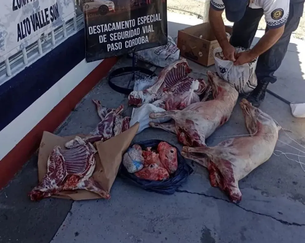 Atraparon a valletanos en diferentes operativos de decomiso de carne ovina y vacuna