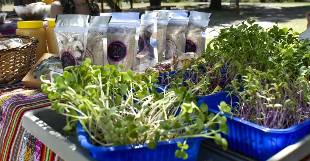 Impulsan proyecto para apoyar a elaboradores y artesanos desde la agroecología