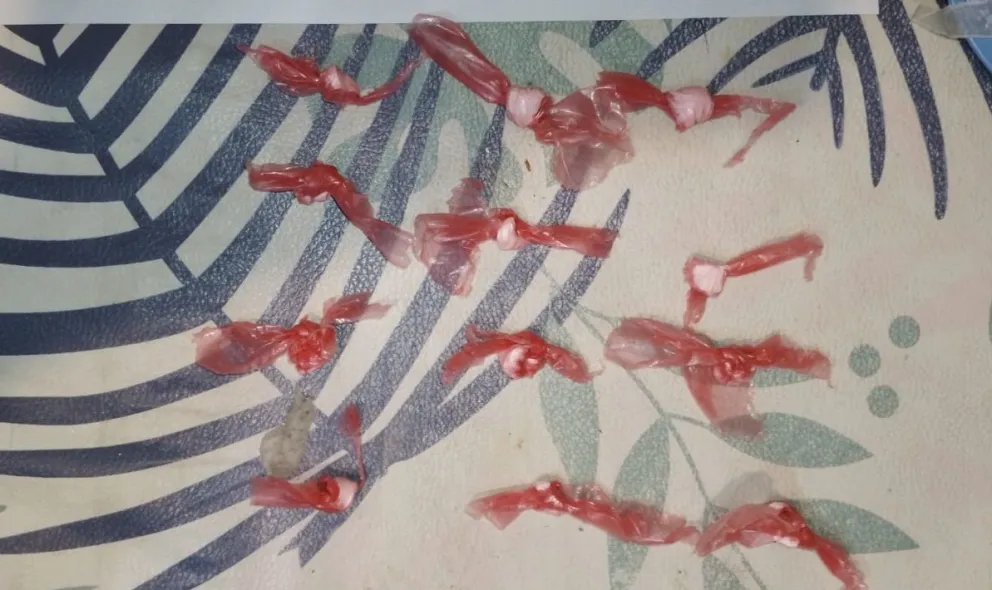 Allanan una vivienda en Cipolletti y secuestran envoltorios de cocaína para comercializar