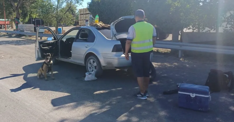 Una perra de la Policía olfateó y delató a tres jóvenes con marihuana