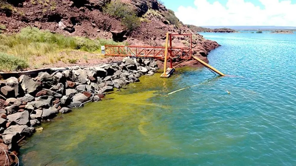 Por un mensaje falso, desmienten la presencia de algas tóxicas en el agua potable del Alto Valle