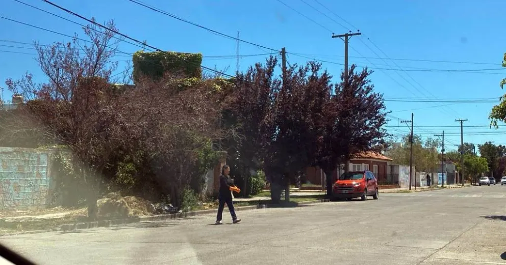 Los basurales prohibidos generan enojos en Viedma: así actúan algunos vecinos 