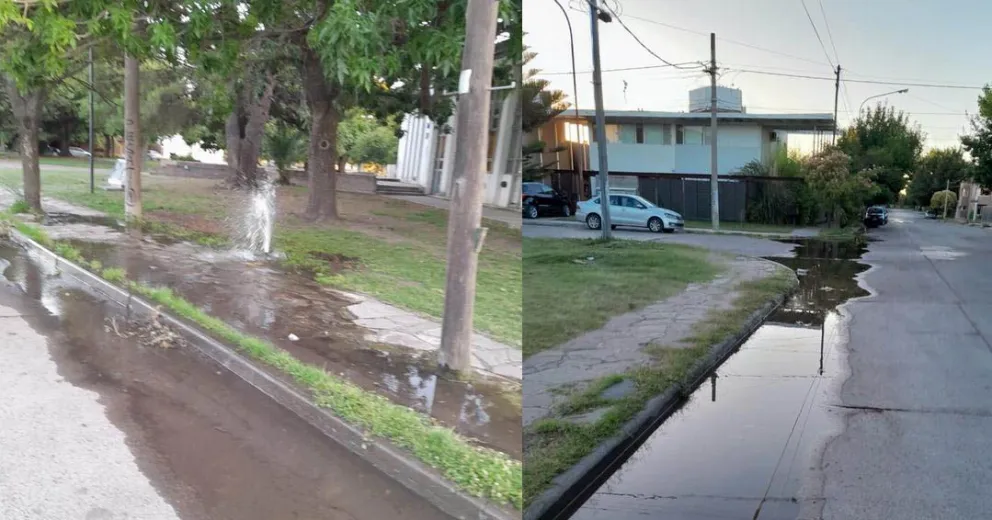 Un vecino mostró su indignación en video: “Vean como derrochan agua en Viedma”