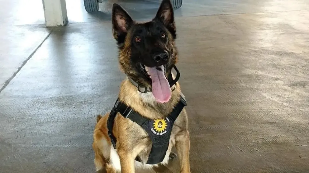 Roma, la gran heroína de la lucha antidrogas en Río Negro