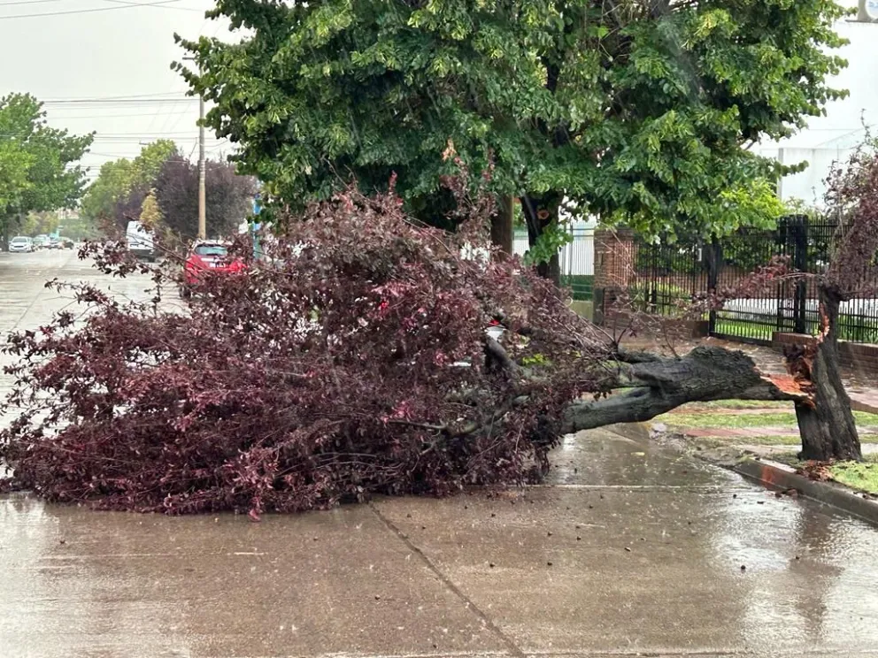 Emitieron una alerta a muy corto plazo y se descargó una torrencial lluvia