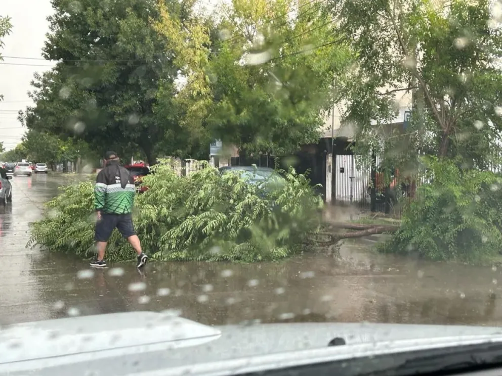 Otra vez sopa: hay alerta meteorológica para este domingo en la Comarca 