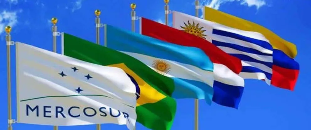 Milei cuestiona la continuidad de Argentina en el Mercosur