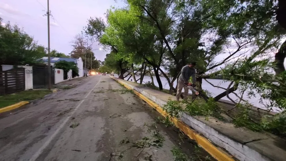 Trabajos intensivos en Viedma y Patagones para mitigar los estragos del temporal