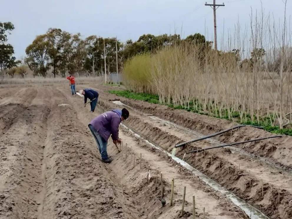 La mirada estará sobre las chacras. Foto archivo.