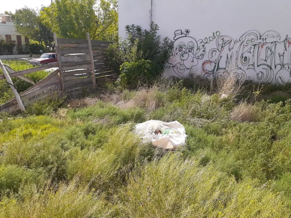 Un baldío en pleno barrio Belgrano mantiene inquietos a los vecinos 