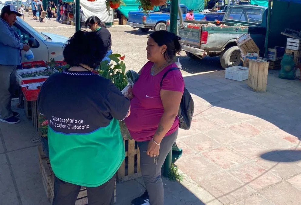 Presión sobre la calidad comercial: hallaron anomalías y destruyeron mercadería 