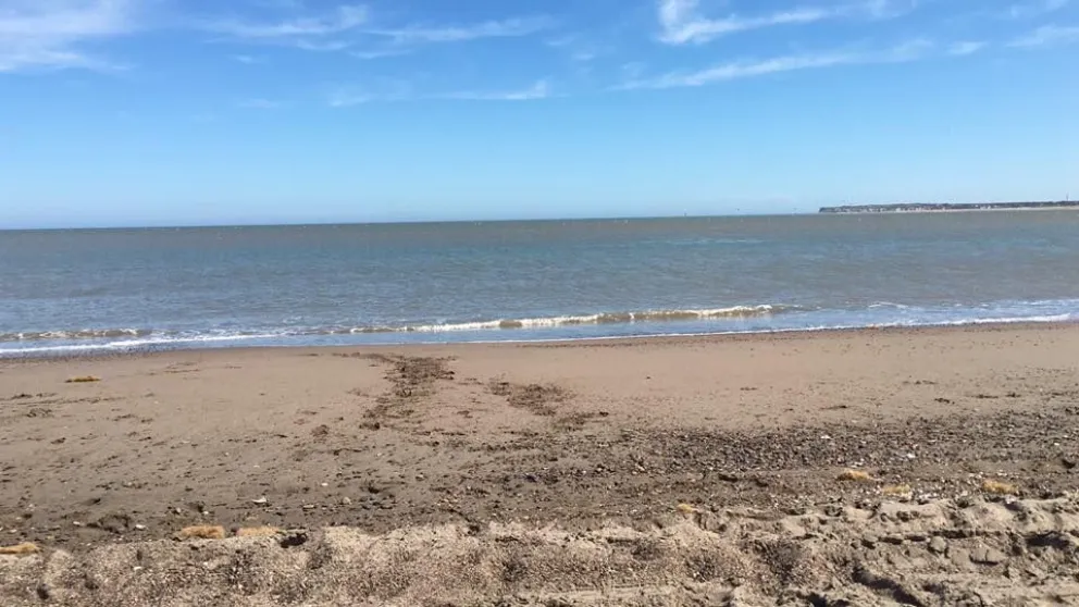 Susto en la playa: amigos héroes salvaron la vida de un joven que se ahogaba en La Baliza