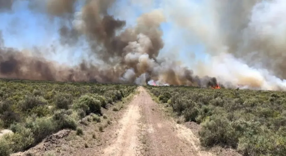 Ola de calor: piden extremar cuidados para evitar incendios