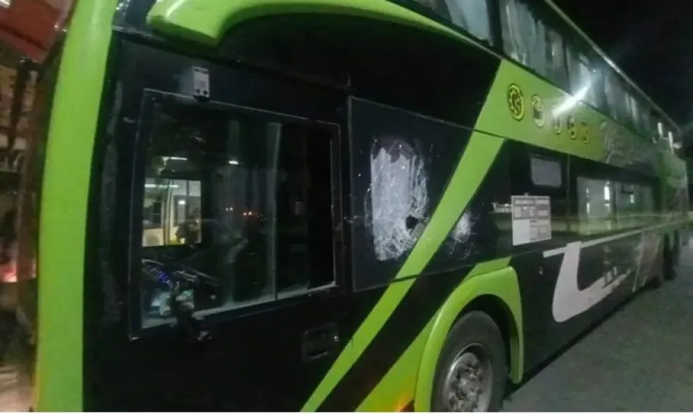 La rápida reacción de un chofer salvó la vida a 29 pasajeros de un micro que venía a Viedma