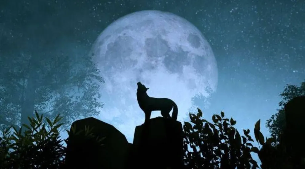 Llega la Luna del Lobo 2024: cuándo se podrá ver la primera luna llena del año