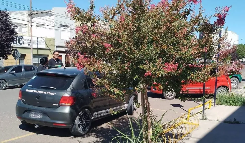 Un turista conducía en contramano en pleno centro, lo corrieron y lo multaron