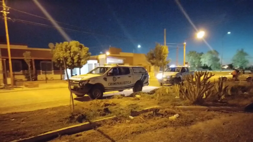 Aprovecharon que no había nadie y forzaron el portón de una vivienda