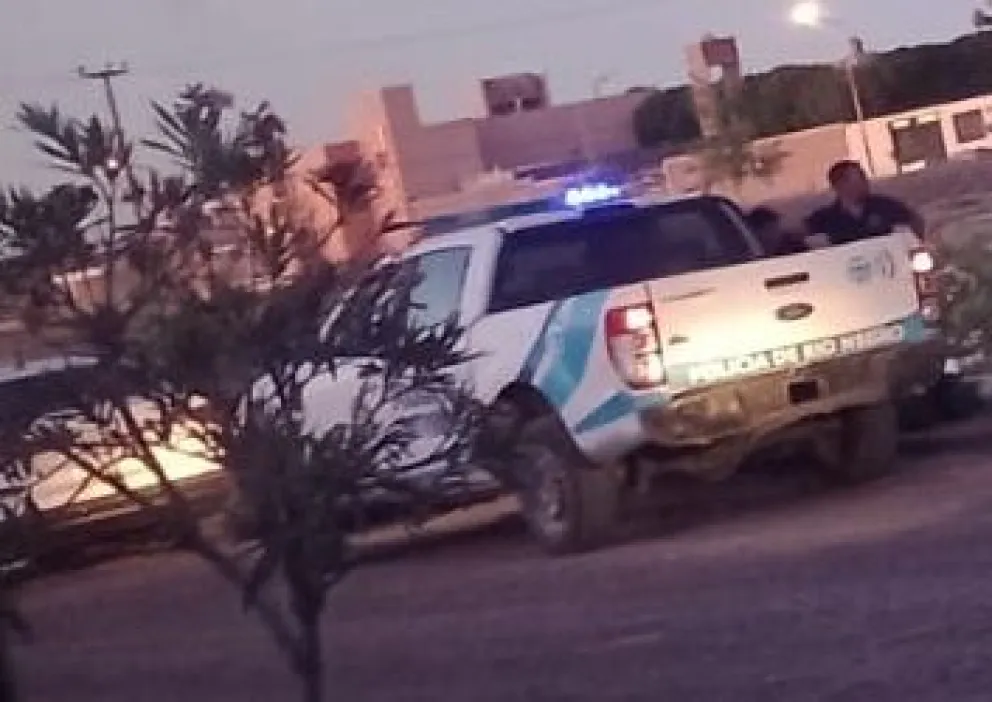 Robo en el barrio IPPV: el dueño de la vivienda sacudió a piñas a uno de los delincuentes