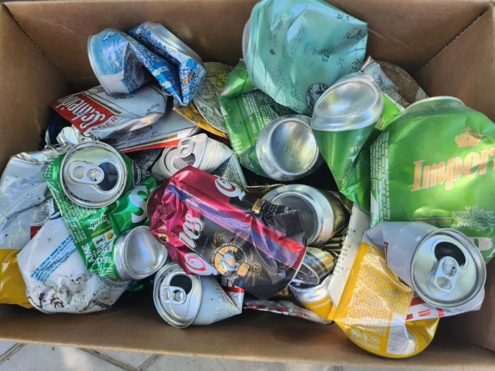 La fundación “Te doy una mano” tiene voluntarios con tentáculos