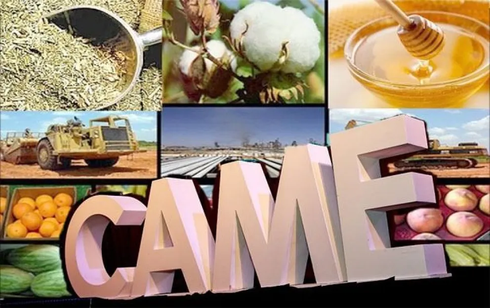 CAME reclama cambios en la Ley Ómnibus para apoyar a las economías regionales