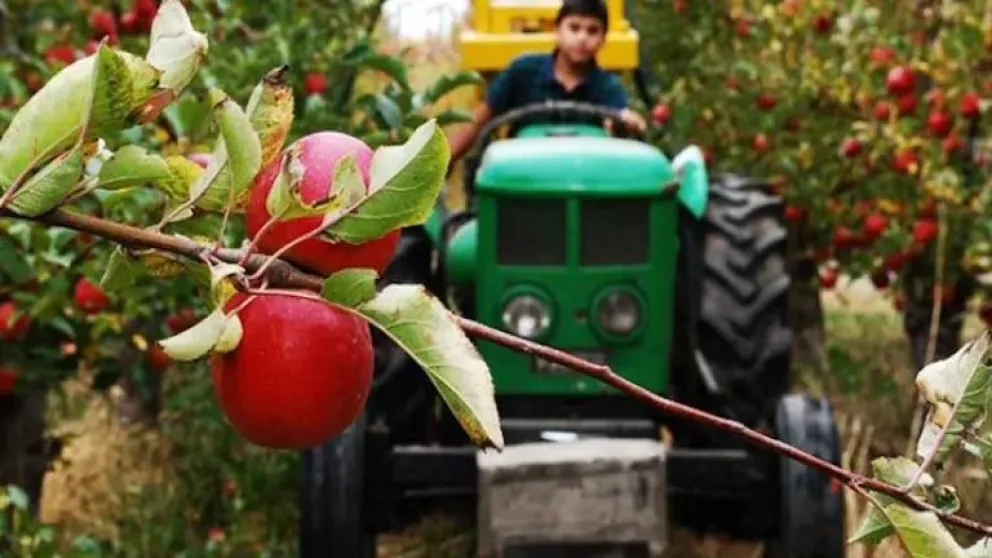 El Sindicato de la Fruta anunció un acuerdo en paritarias