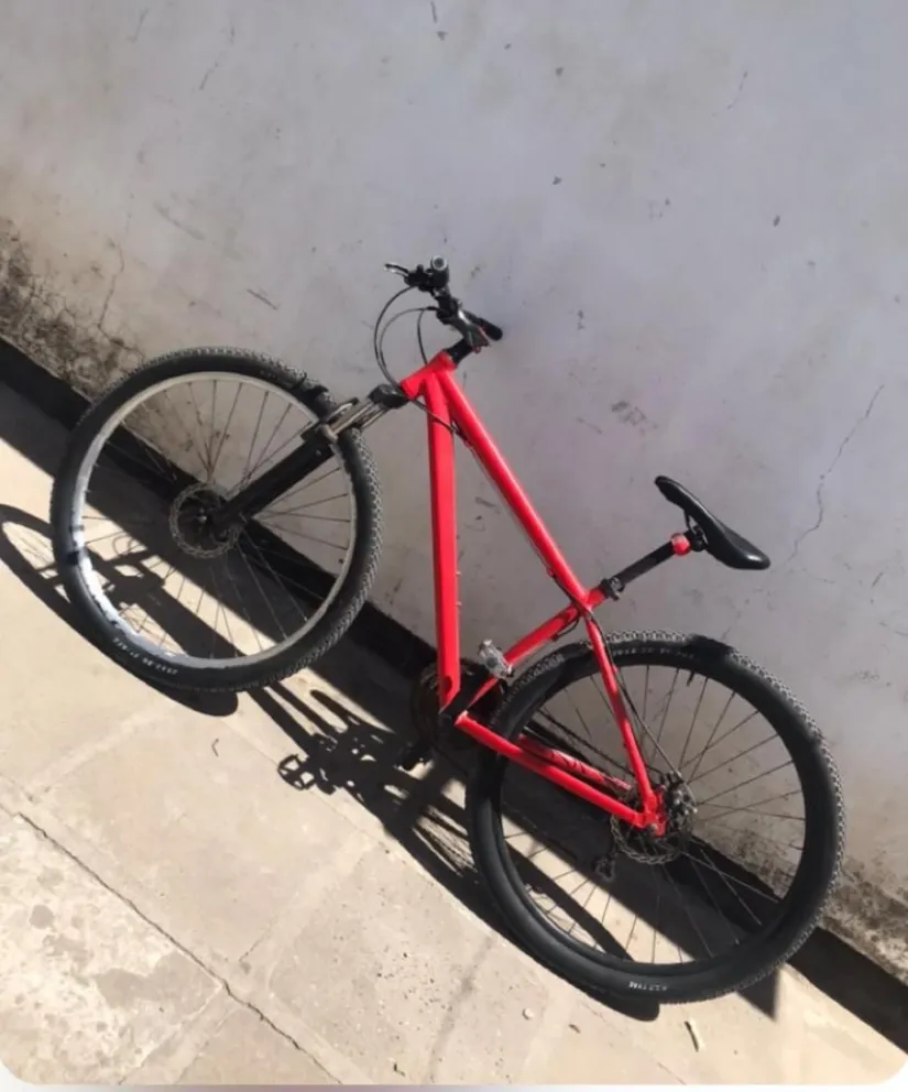 Mientras un delincuente hacía de campana, el otro saltó una reja y robó una bicicleta en el IPPV