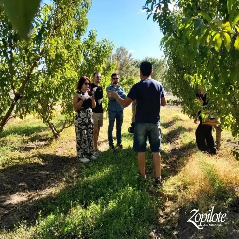 El agroturismo, una apuesta segura que se abre al exterior