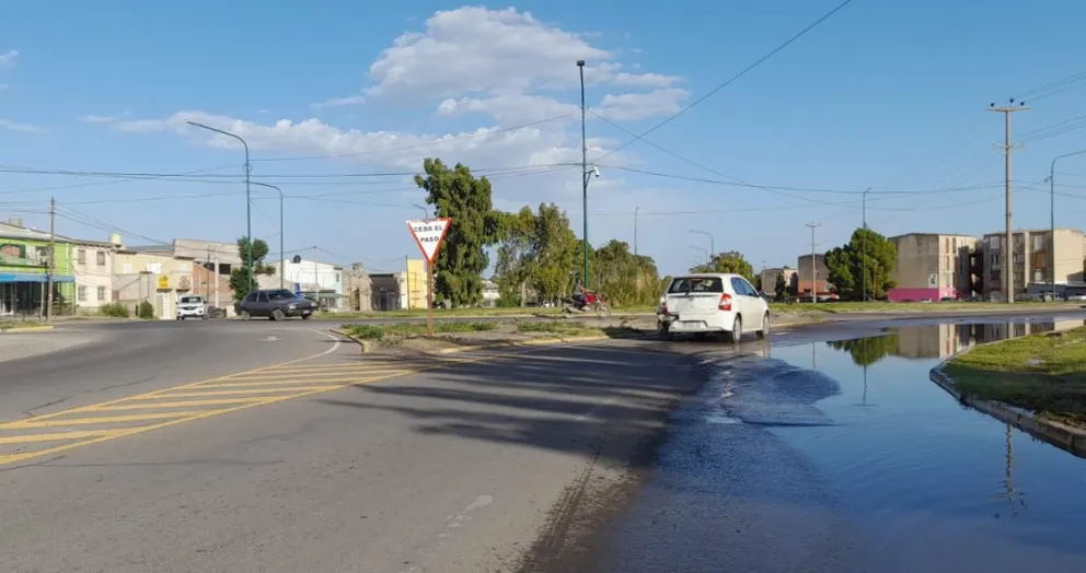 Hay un "Lago Ness" en la avenida Perón de Viedma