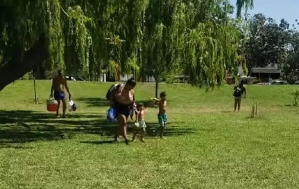 Varias familias corrieron despavoridas de la costanera por el ataque de mosquitos